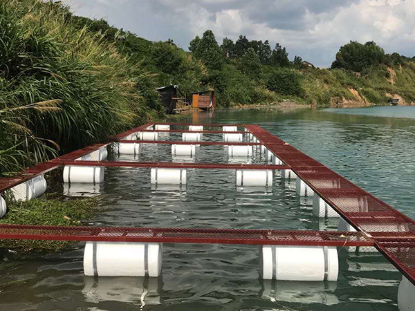 養(yǎng)黃鱔泥鰍的池塘怎么建，網(wǎng)箱該怎么擺放